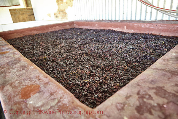 Fermentation in open concrete vats at AA Badenhorst