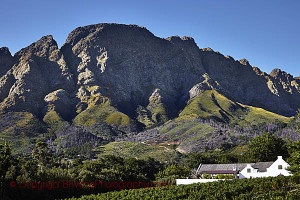 Boekenhoutskloof vineyards and winery in Franschhoek