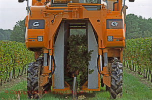 Mechanical harvester straddling a row of vines