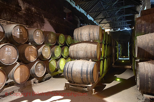 The moscatel cellar at JM da Fonseca