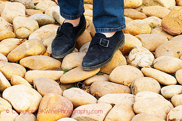 The big round pebbles, galets roules, in Chateauneuf-du-Pape