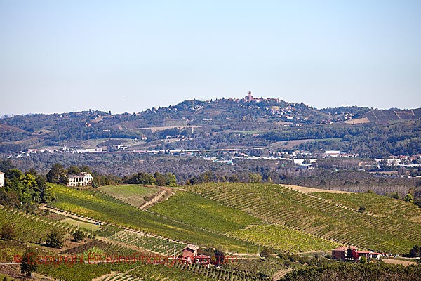 Vineyard landscape in Barolo, Piedmont