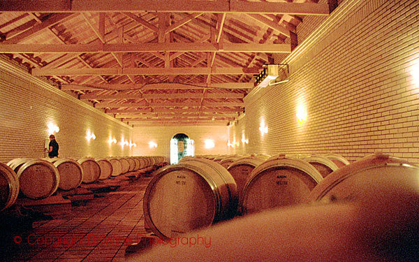 The barrel ageing cellar at Casa Valduga in Brazil