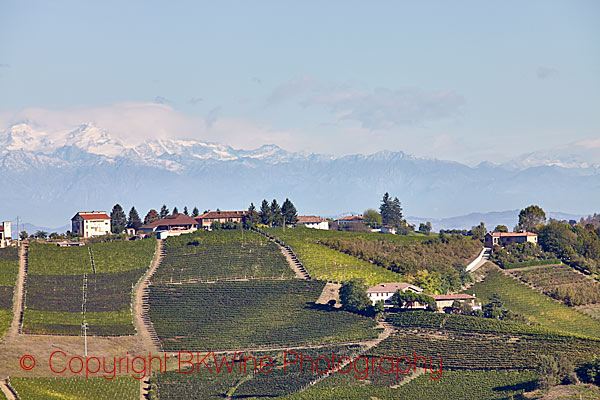 Mountain view and vineyards in the Piedmont