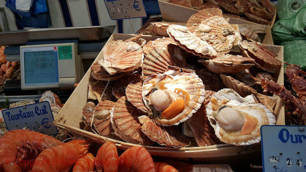 Scallops on a market in Paris