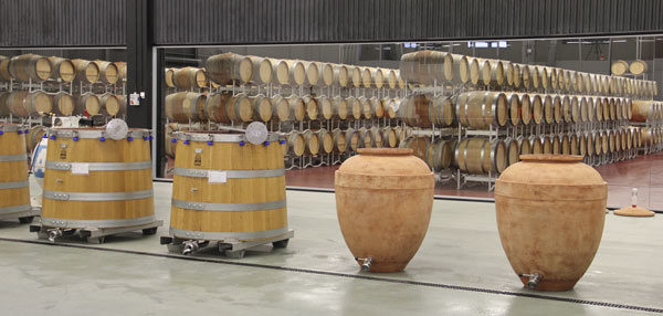 Oak and terracotta amphora fermentation vats