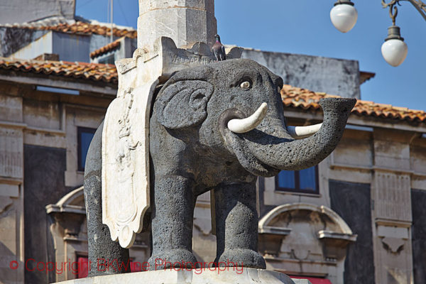 The famous elephant statue, Catania, Sicily