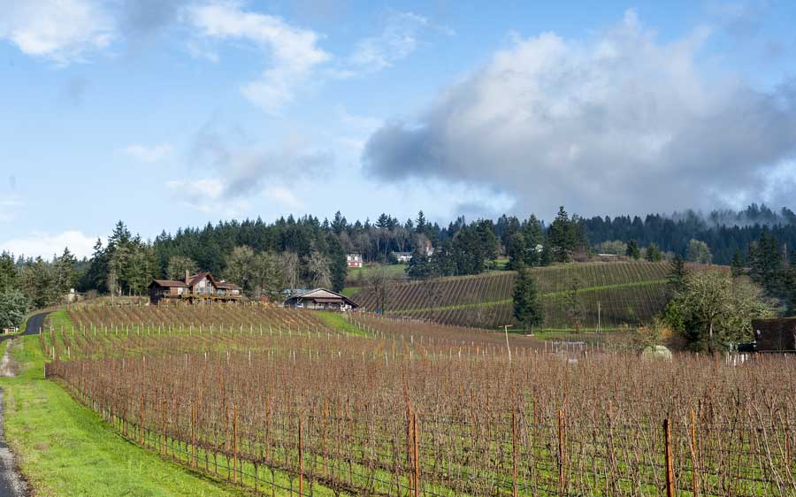 Artisan Winemaker Don Hagge of Vidon Vineyard, Oregon | BKWine Magazine