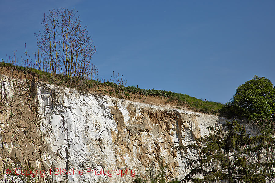 The very chalky soil that some parts of champagne has