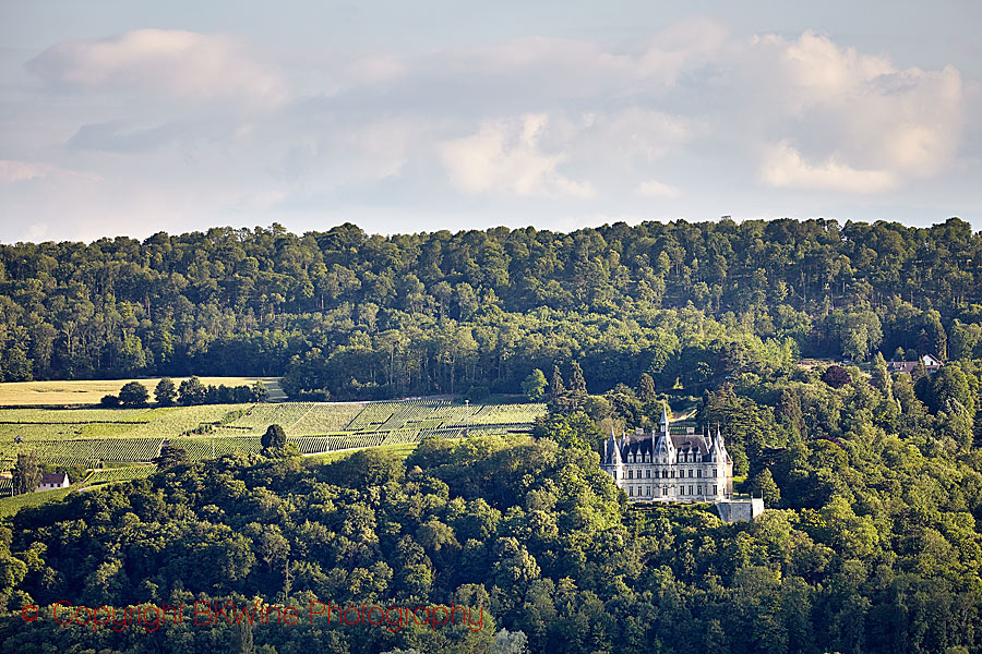 Chateau de Boursault in Vallee de la Marne in Champagne