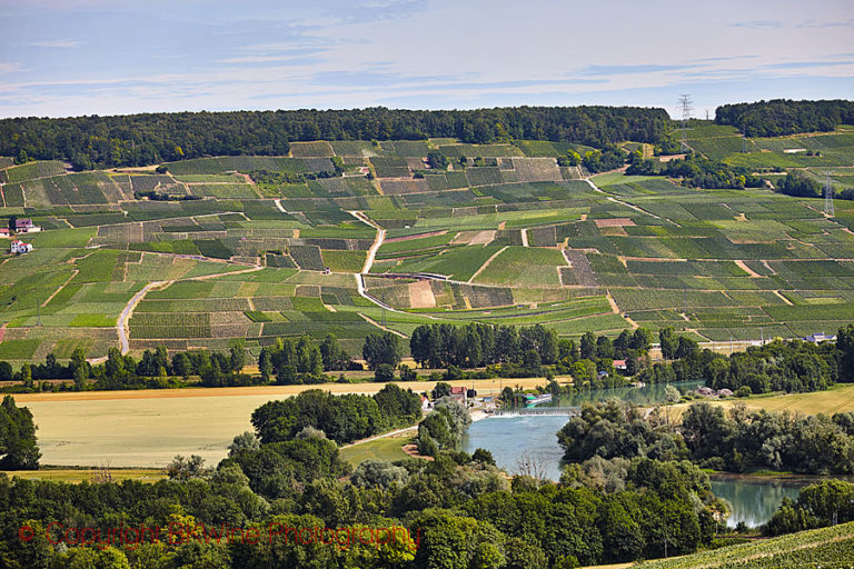 Vineyards in Vallee de la Marne in Champagne