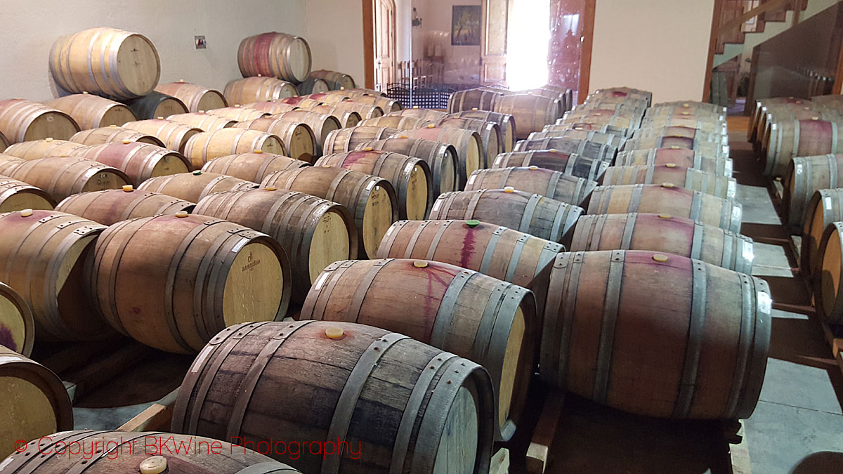 The barrel ageing cellar of Vina Casa Marin, Chile