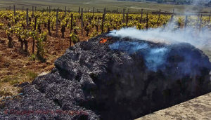 buring hay bale in vineyard