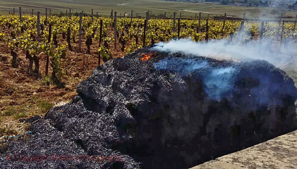 Burning hay bale for frost protection in Burgundy