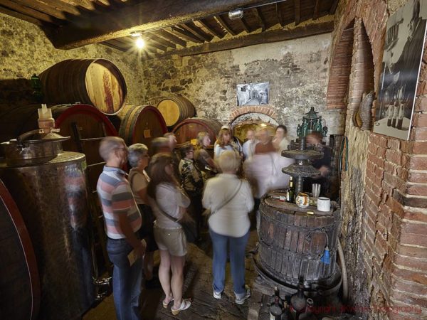 A tour visit at a wine cellar in Montepulciano in Italy