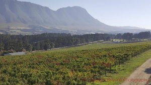 Hemel en Aarde Valley, Walker Bay, South Africa