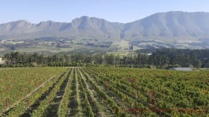 hemel en aarde in south afrcia