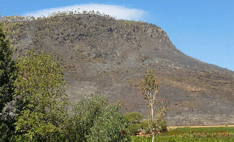 Forest fire damage in Stellenbosch, South Africa