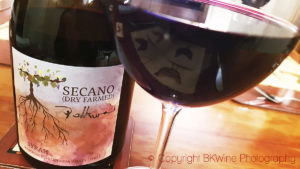 Secano Dry Farmed Syrah 2015, Marchigue, Pollkura, Colchagua, Chile