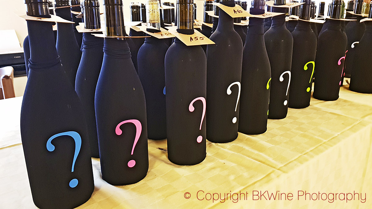 The VinNatur blind tasting workshop