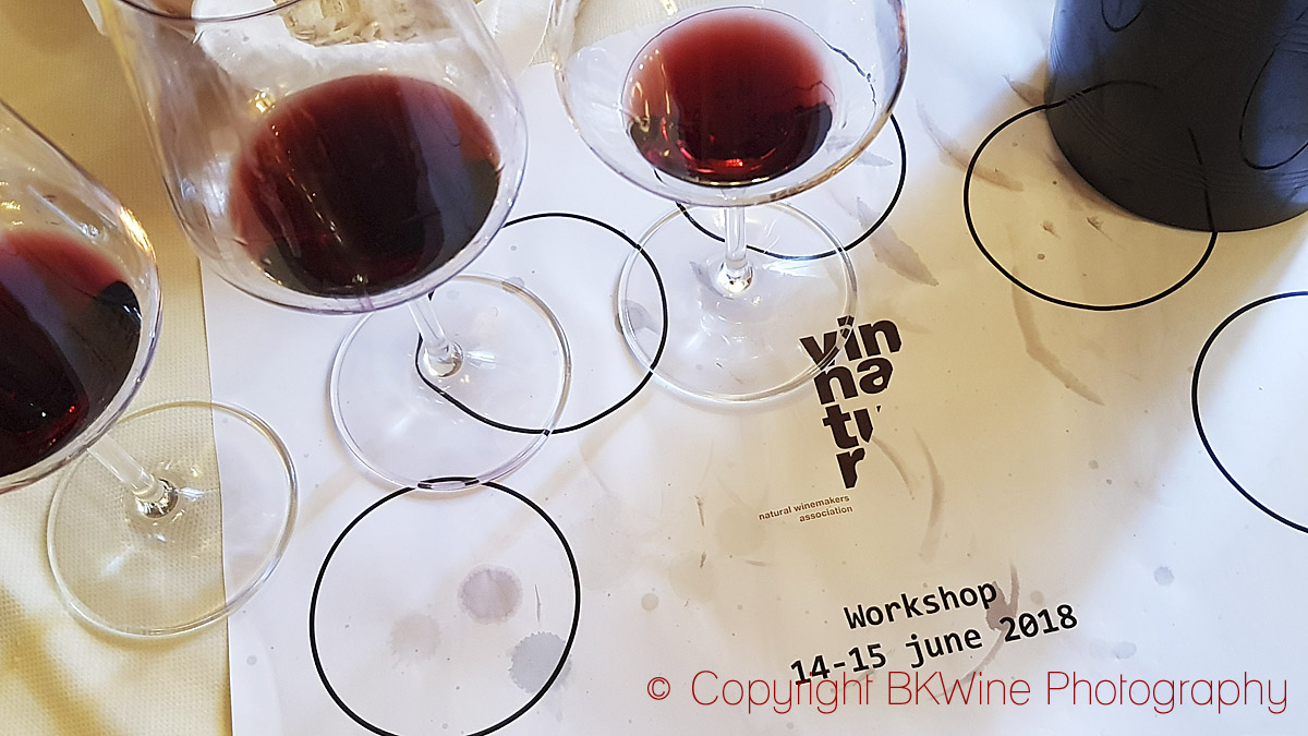 Tasting wines at the VinNatur workshop