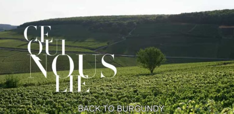 Ce qui nous lie - Back to Burgundy