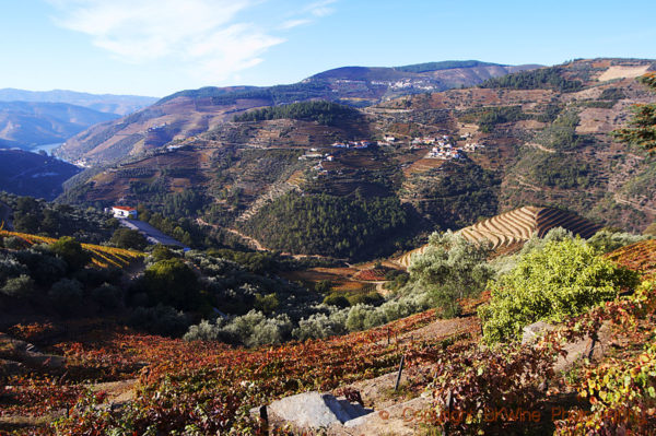 View over the vineyards to Sao Cristovao do Douro and Pinhao