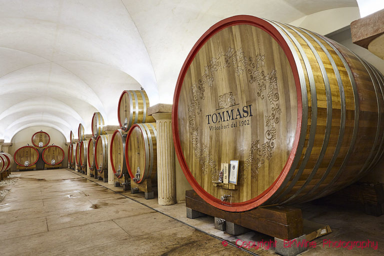 Big botti in the Tommasi cellar