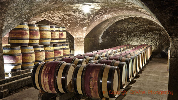 Oak barrels with Burgundy wine ageing in the cellars of Chanson, Beaune