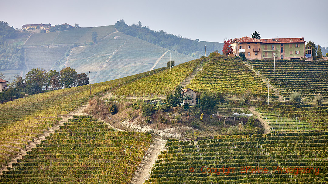 Vineyards and on old house in Piedmont