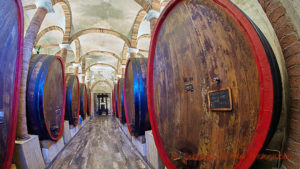 Botti, big vats in a wine cellar in Tuscany