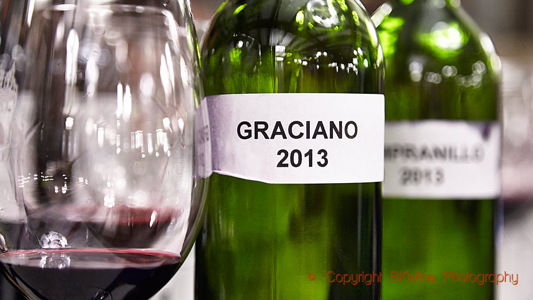 Tasting graciano in Rioja, Spain