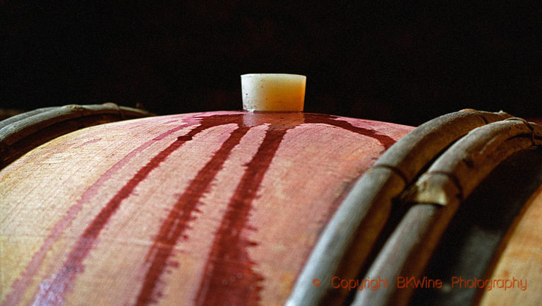 Pinot noir in an oak barrel