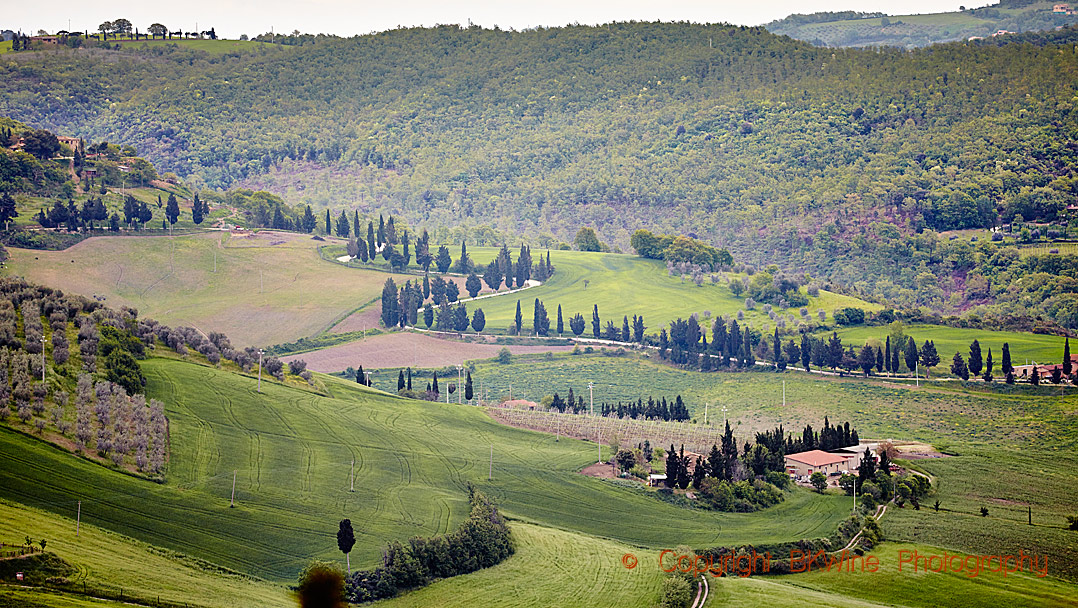 Views over the landscape in Brunello di Montalcino