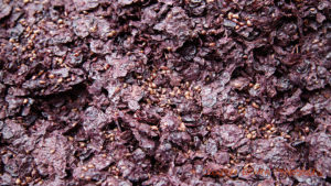 Primitivo (zinfandel) grape skins after pressing