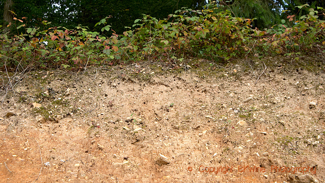 The soil profile, calcareous and clay, in Pouilly-sur-Loire