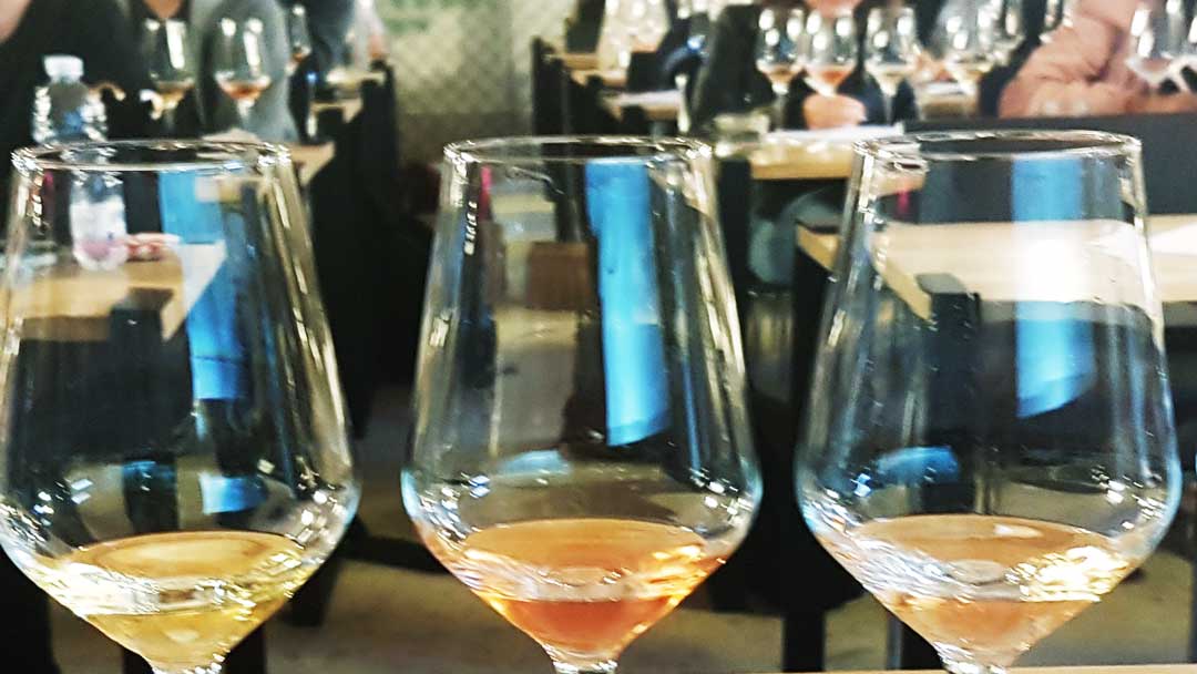 Tasting Scandinavian wines in Italy