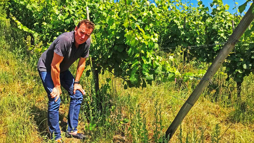 Marcus Riedlin in his And Sybille Kuntz' vineyard