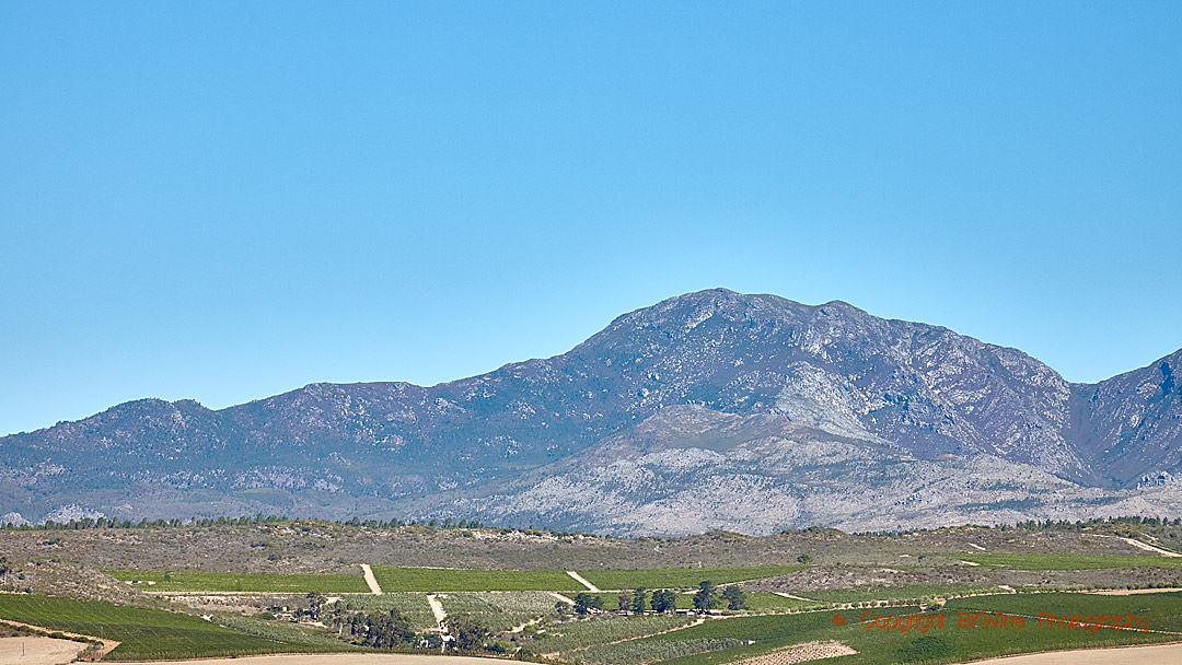 The view from Gabriëlskloof Wines, Bot River, South Africa