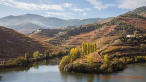 View over the river Tedo from Quinta do Tedo