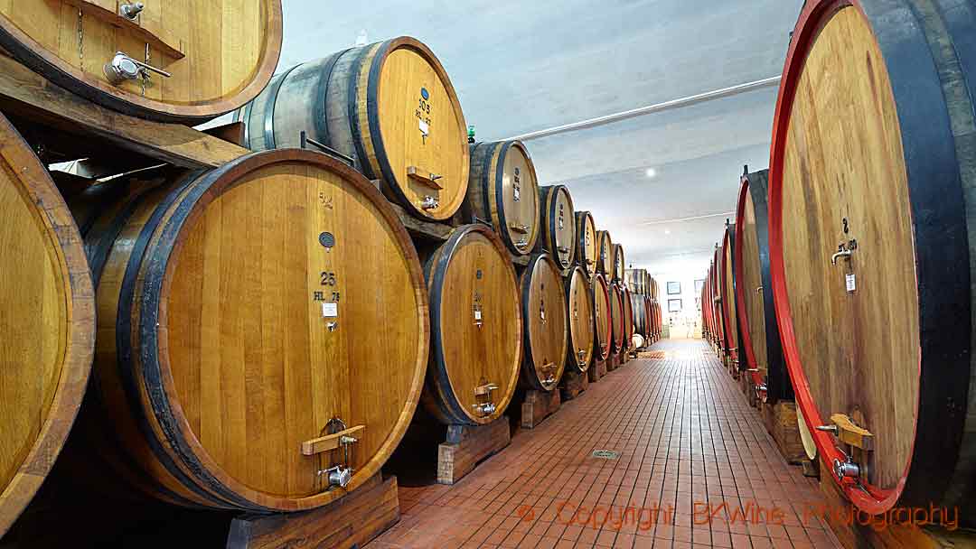 Big botti in the cellar of Col d'Orcia, Montalcino, Tuscany