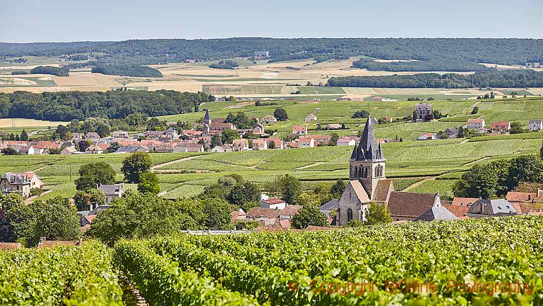A selection for your party (or your everyday): champagnes from Franska  Vinlistan | BKWine Magazine |