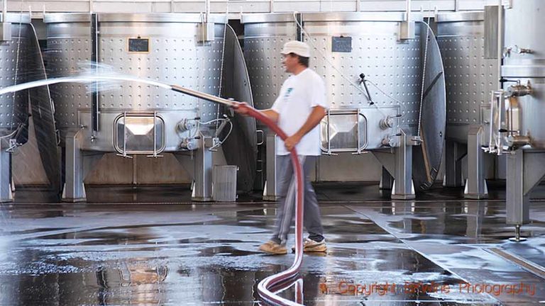 Cleaning the wine cellar and steel tanks with water