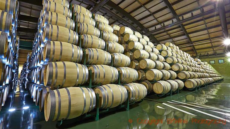 An immense storage room with oak barrels at Bodegas LAN in Rioja, Spain