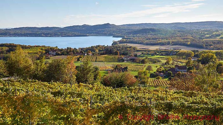 Vineyards and a lake in the Erbaluce di Caluso wine region in Piedmont