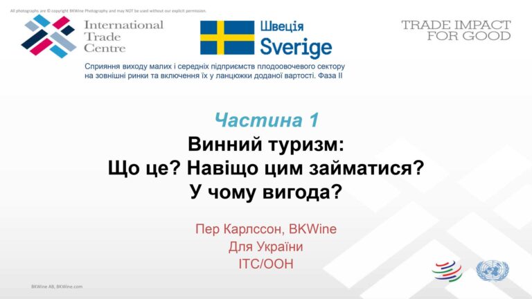 On wine tourism - BKWine talks for the UN agency ITC and the wineries in Ukraine