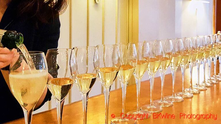 Sparkling wine served in a row of glasses