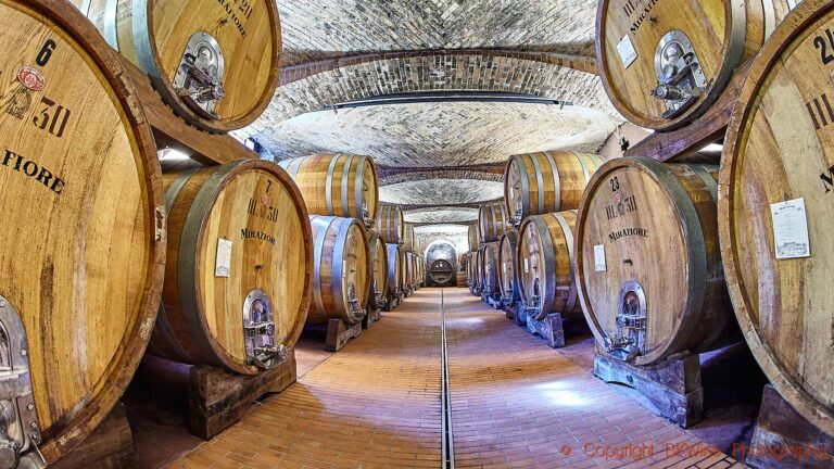 An old cellar with big oak barrels, botti, in Barolo, Piedmont