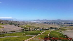 Vineyards at Kaapzicht Wine Estate, Stellenbosch, South Africa