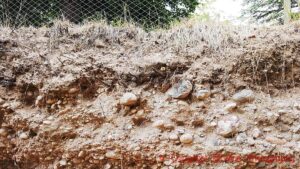 Soil cross-section from a soil pit in Uco Valley, Mendoza, showing a curious mix of sand, clay and rocks